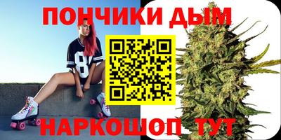спиды Можга