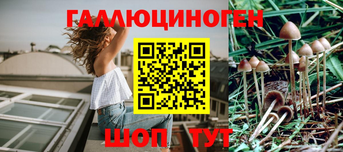 Галлюциногенные грибы Magic Shrooms  Вход с VPN  Волгодонск 